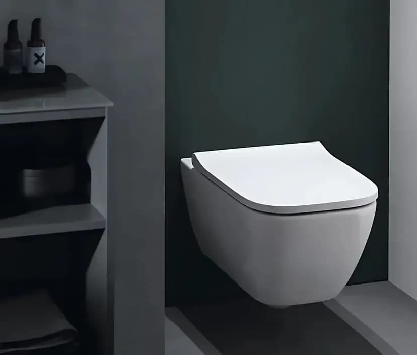 Унитазы и инсталляции