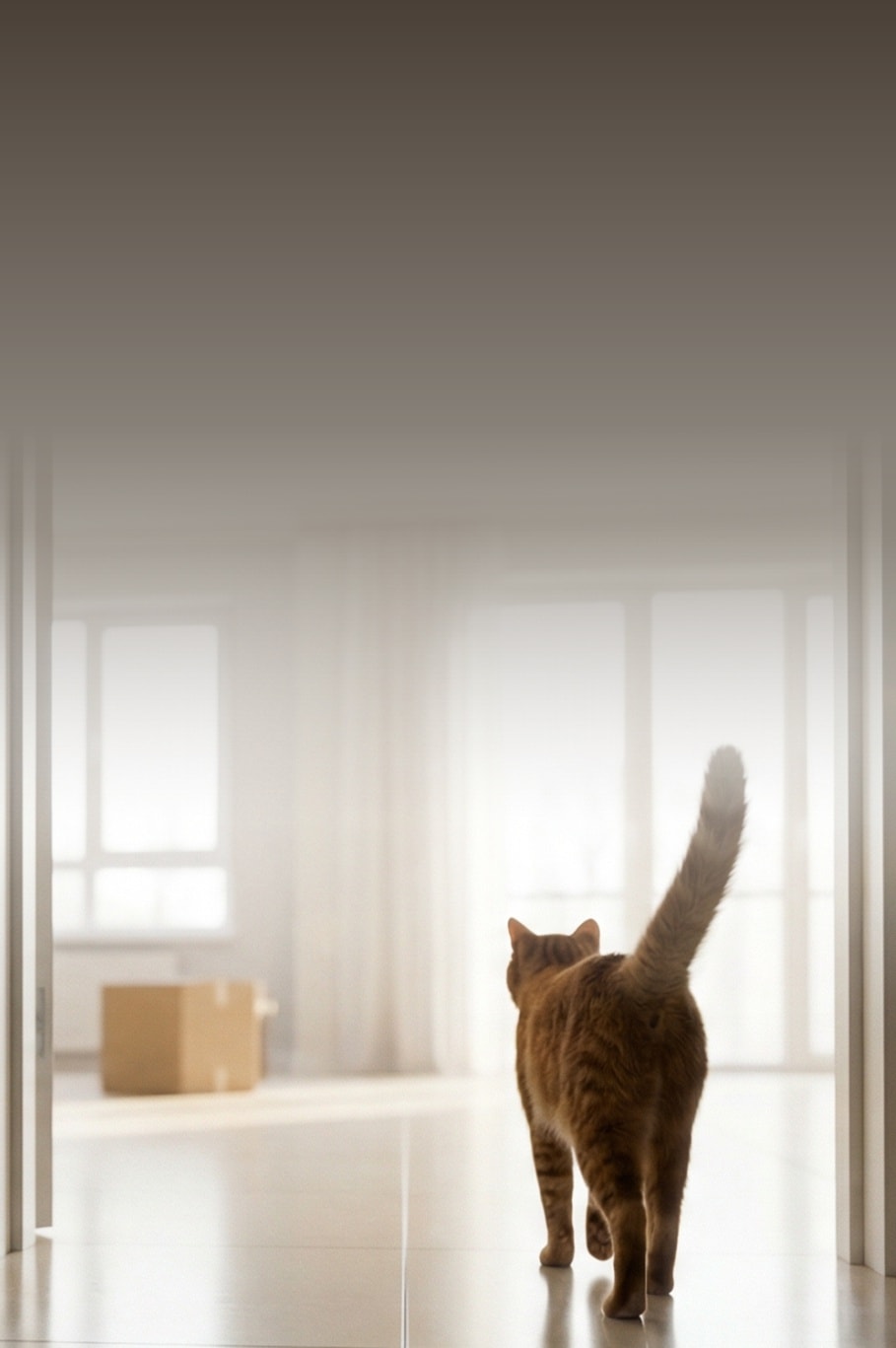 Скидка тем, кто начинает с нуля